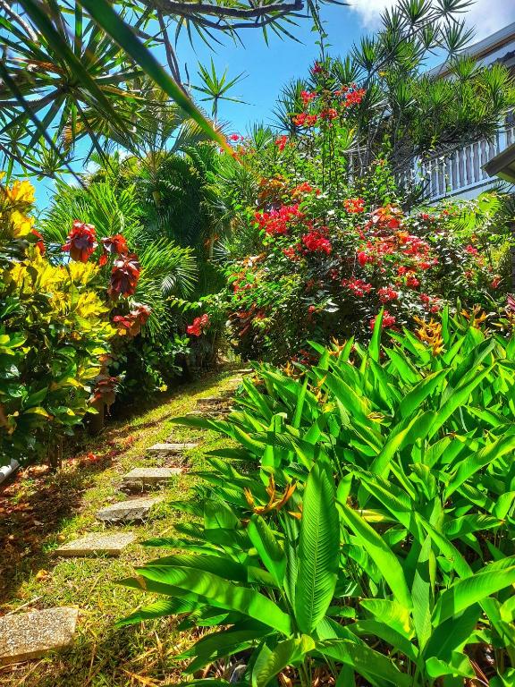 Zahrada ubytování Studio Bwa Banbou dans Villa Fleurs des Iles