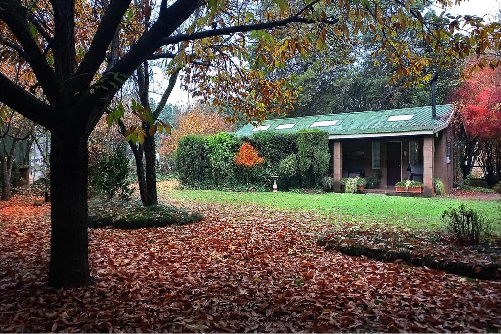 Zahrada ubytování Birches Cottage & the Willows Garden Room