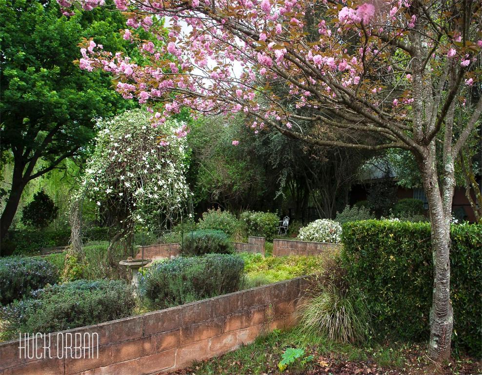 Zahrada ubytování Birches Cottage & the Willows Garden Room