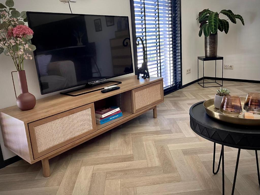 TV a/nebo společenská místnost v ubytování Luxe Vakantiehuis met privé Wellness