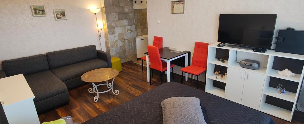 GrammatikovoにあるСтудио Странджа - Граматиковоのソファとテレビのあるリビングルーム