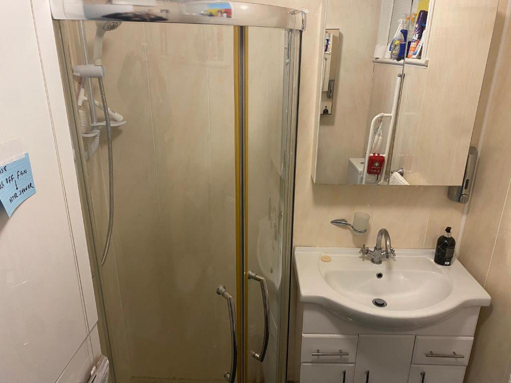a bathroom with a shower and a sink at Kilmactrasna Cottage in Carrickmacross