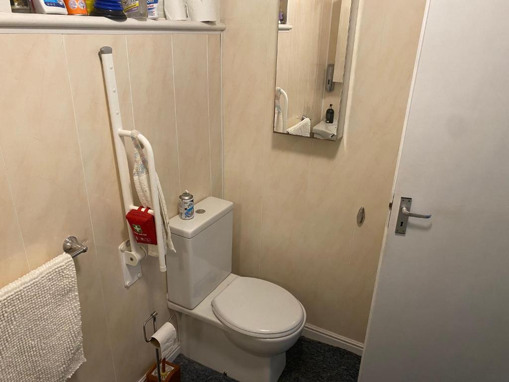 a small bathroom with a toilet and a mirror at Kilmactrasna Cottage in Carrickmacross
