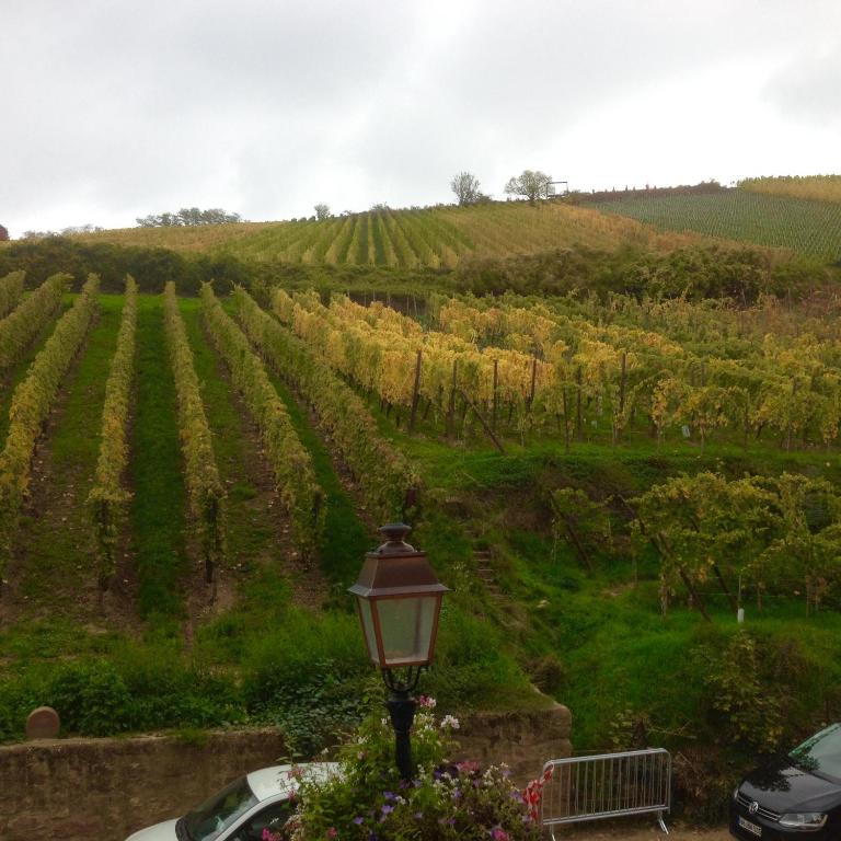 Gite Chez Marcel – photo 56