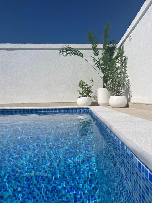 una piscina accanto a un muro bianco con piante in vaso di ORA apartments a Donji Štoj