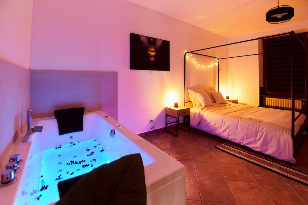 L'Alsacien Plaisir- Balnéo-Wifi-Netflix – photo 2