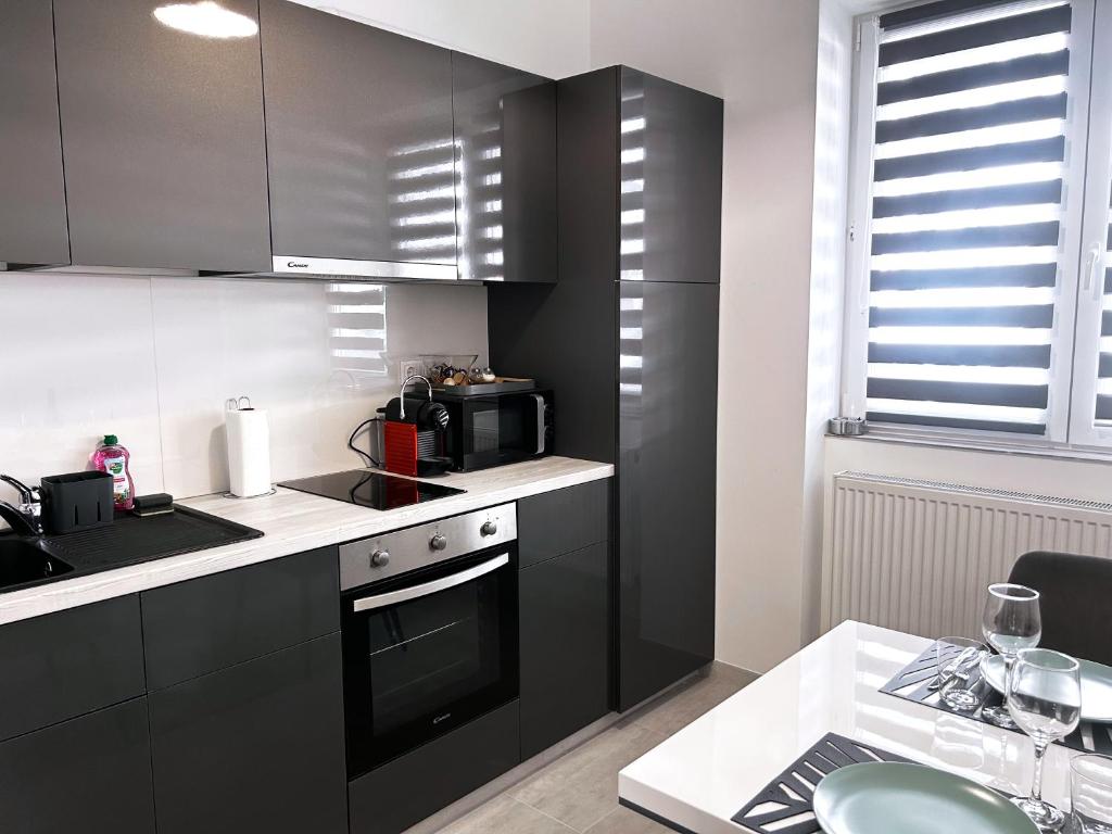 Kuchyň nebo kuchyňský kout v ubytování Downtown Apartments Pécs