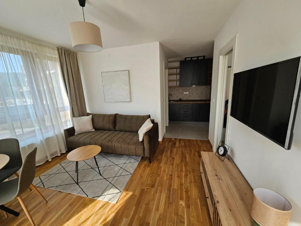 TV a/nebo společenská místnost v ubytování Apartman Crni Vrh - DivčiNova
