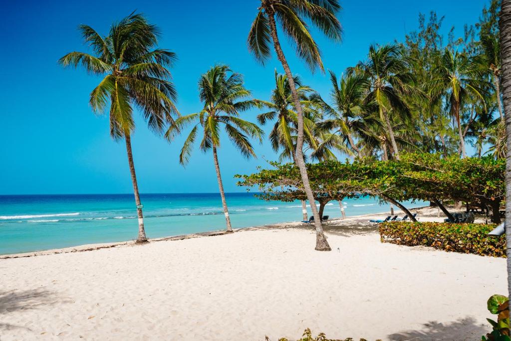 Coconut Court Beach Hotel Bridgetown Coconut Court Beach Hotel Bridgetown
