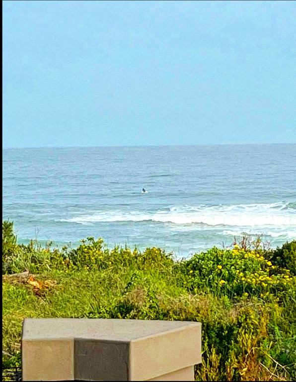 Oppi See Beach House - Image 21