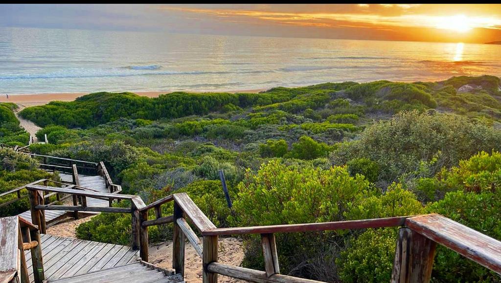 Oppi See Beach House - Image 38