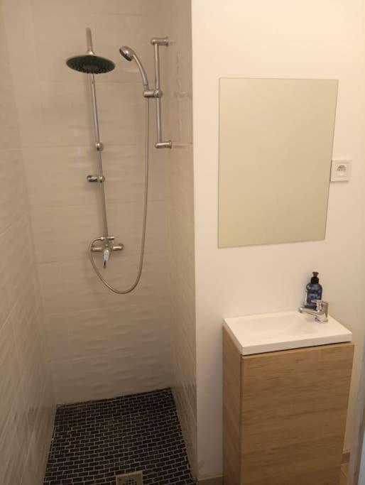 une salle de bain avec une douche avec un lavabo et un miroir dans l'établissement studio calme entre Montpellier et la mer, à Saussan