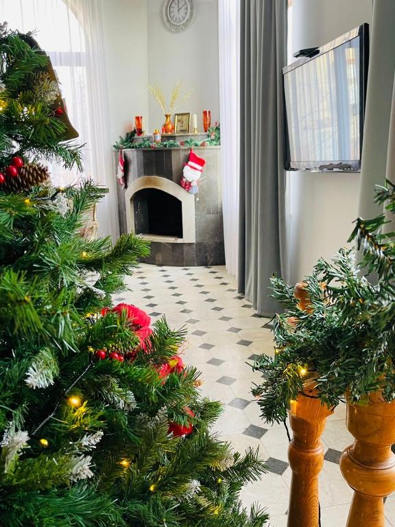 Bolnisi Elia - Housity