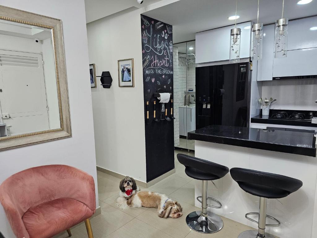Kuchyň nebo kuchyňský kout v ubytování Apartamento Completo de Lujo con Aire Acondicionado