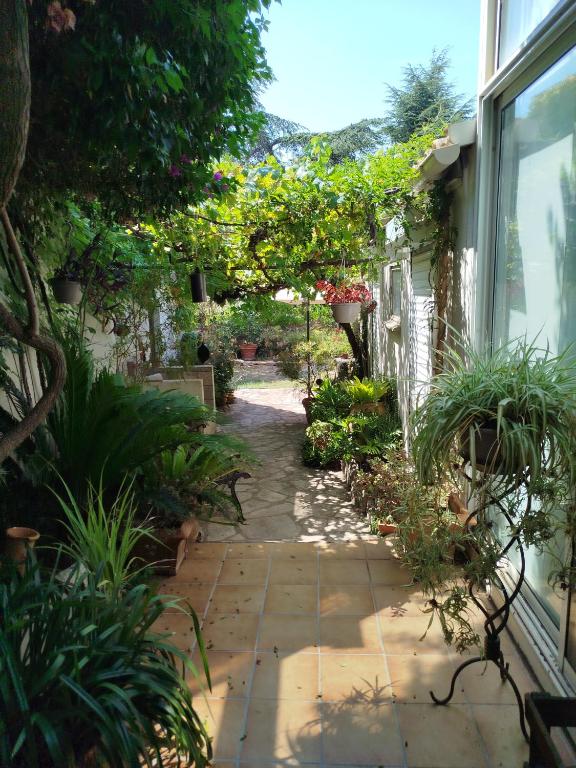 un jardin avec des plantes sur le côté d'une maison dans l'établissement l'olivade, à La Seyne-sur-Mer