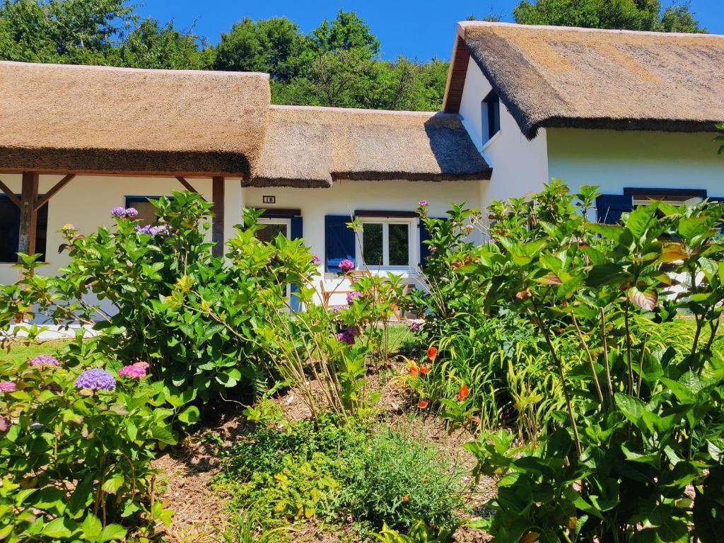 un cottage con tetto di paglia e giardino di La Chaumière aux hortensias a Saint-Jouin-Bruneval