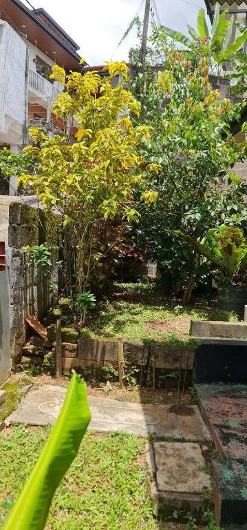Zahrada ubytování Wagi Villa & Hostel " Free pickup from kandy"