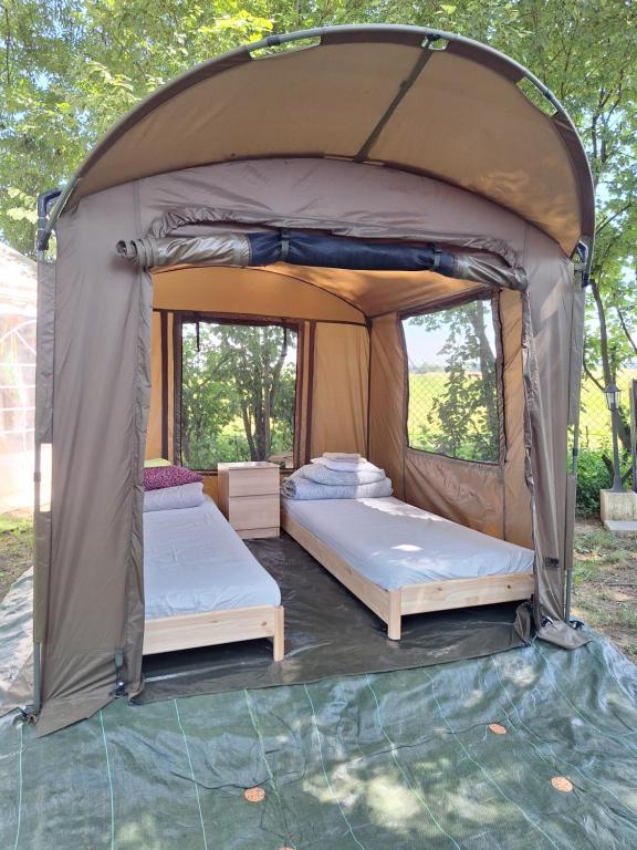 Ένα ή περισσότερα κρεβάτια σε δωμάτιο στο Pole Namiotowe Kogutowo