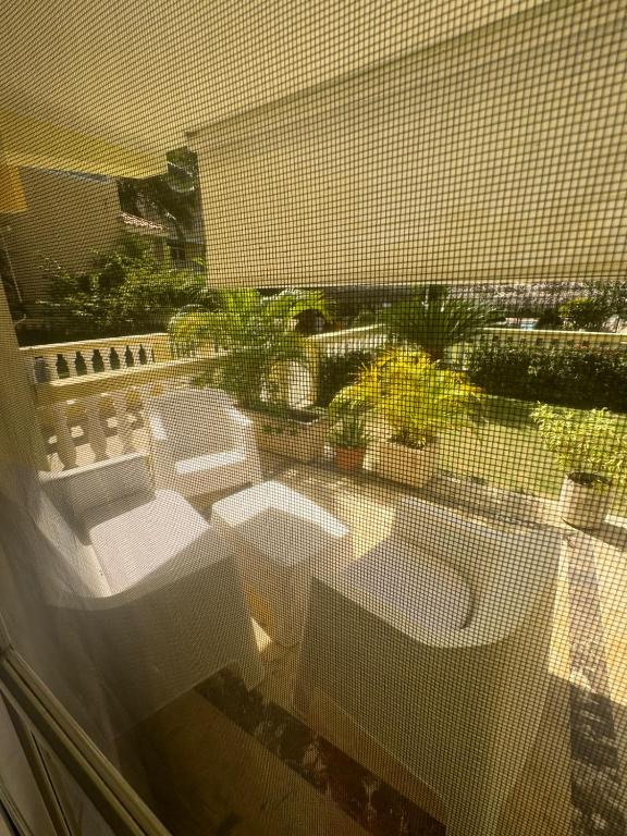 Las Palmeras by Graziano - Error