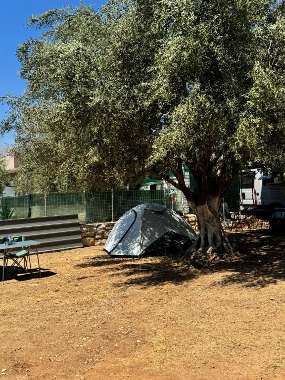 Fotografie z fotogalerie ubytování Olive Camping v destinaci Himare