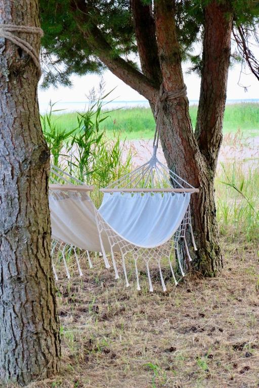 Zahrada ubytování Mändjala Glamping