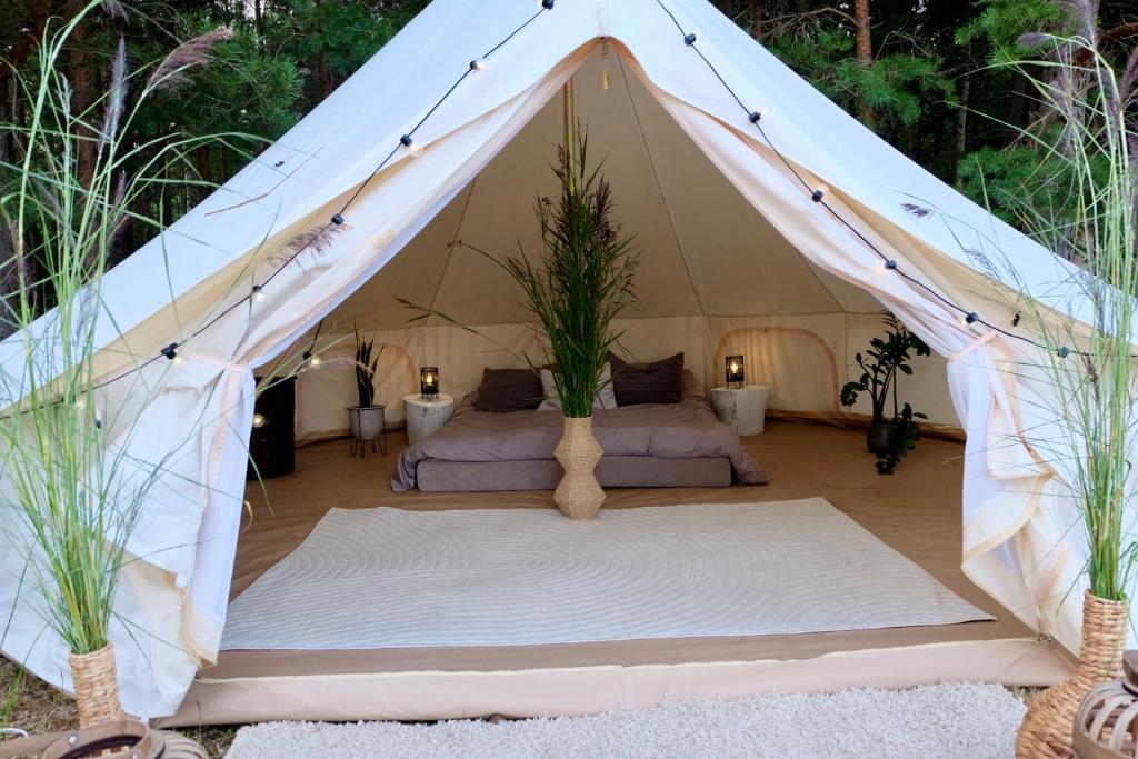 Fotografie z fotogalerie ubytování Mändjala Glamping v destinaci Mändjala
