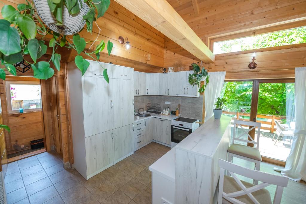 Kuchyň nebo kuchyňský kout v ubytování Monte Chalet Kolašin