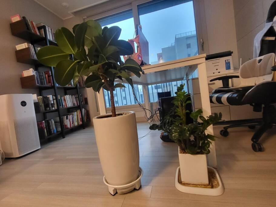 Knihovna v apartmánu