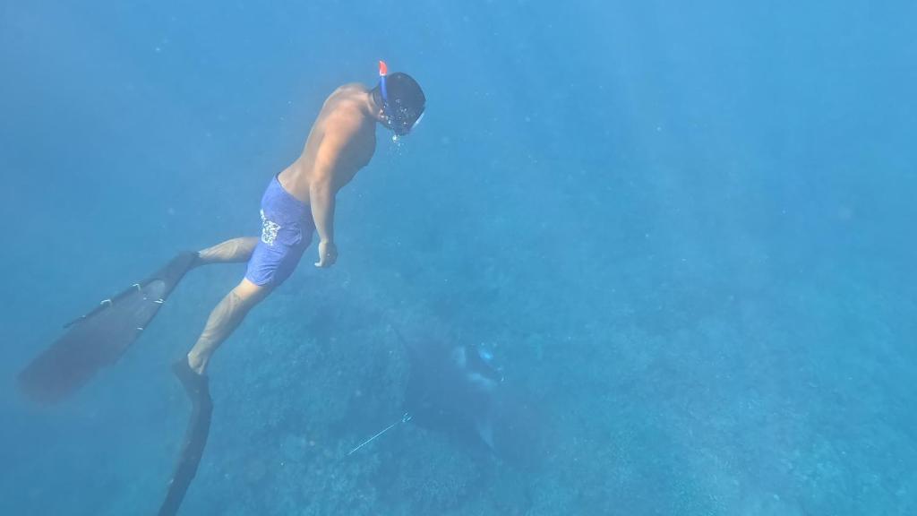 Majutusasutuse ALAROOTS BORA BORA CAMP külastajad