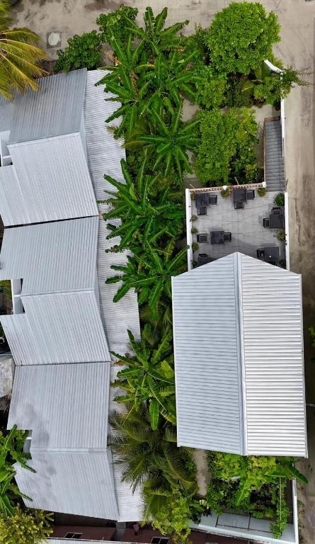Zahrada ubytování Seaside Dhigurah