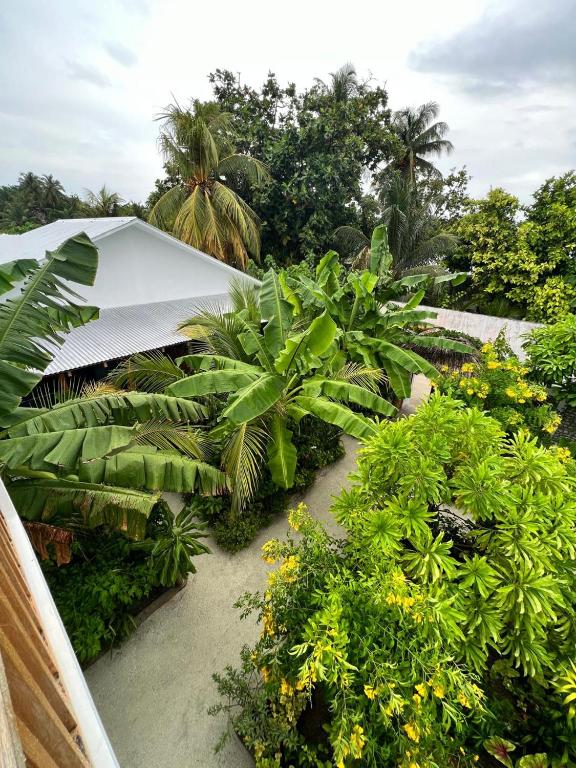 Zahrada ubytování Seaside Dhigurah