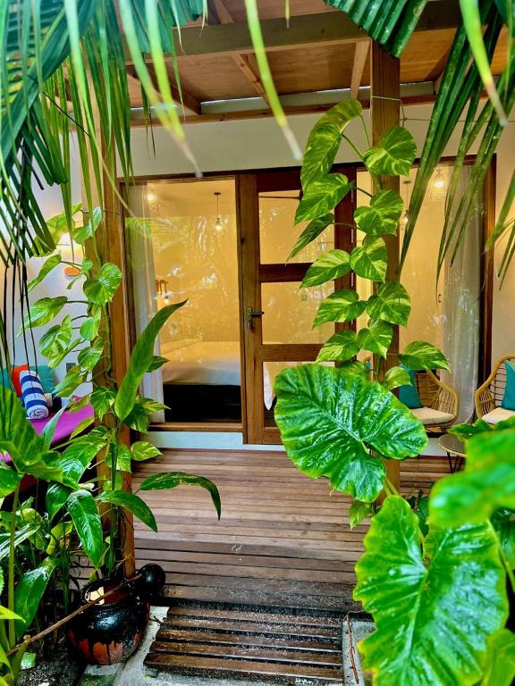 Zahrada ubytování Seaside Dhigurah