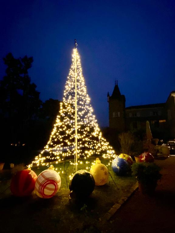 Fotografie z fotogalerie ubytování Chateau des Janroux v destinaci Juliénas