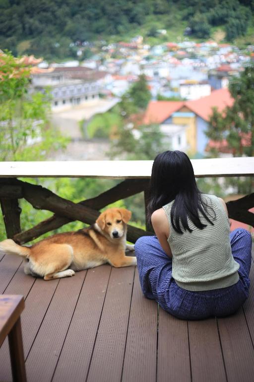 Thú nuôi lưu trú tại Sapa Jungle Homestay