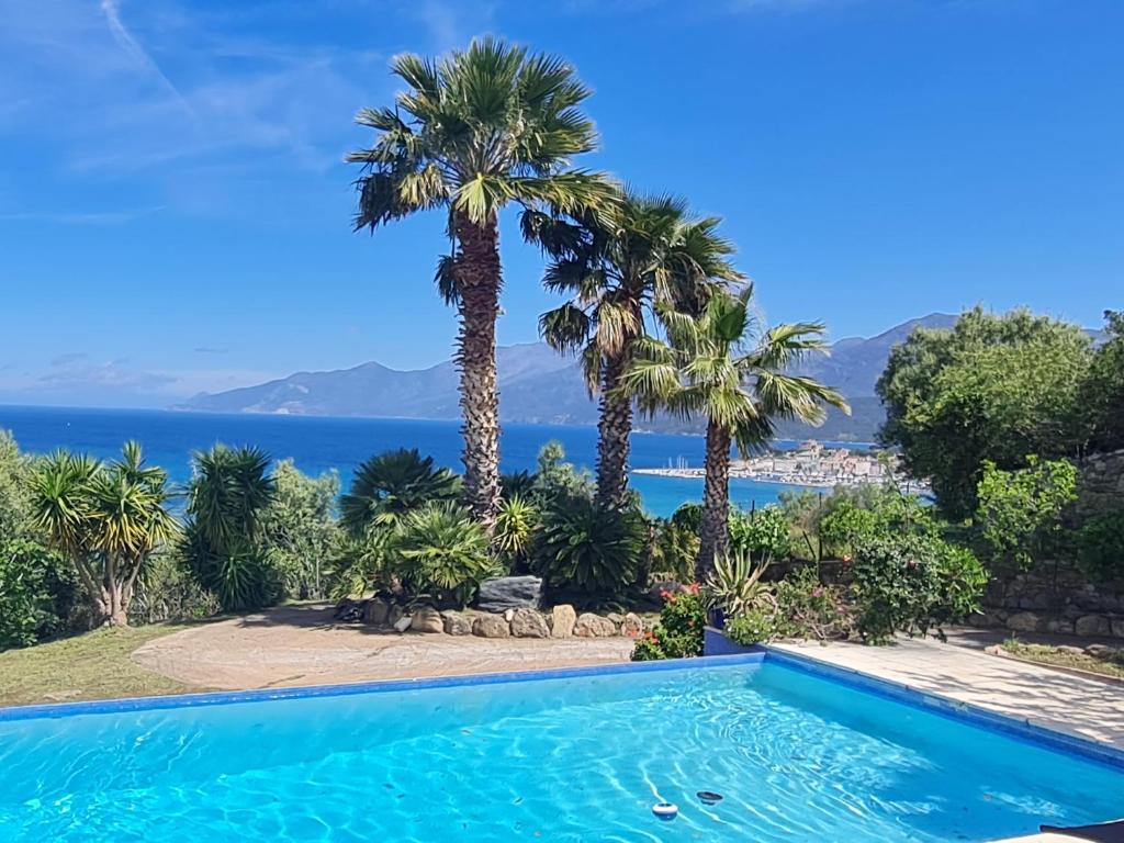 ein Swimmingpool mit Palmen und dem Meer in der Unterkunft Villa U Principellu in Saint-Florent
