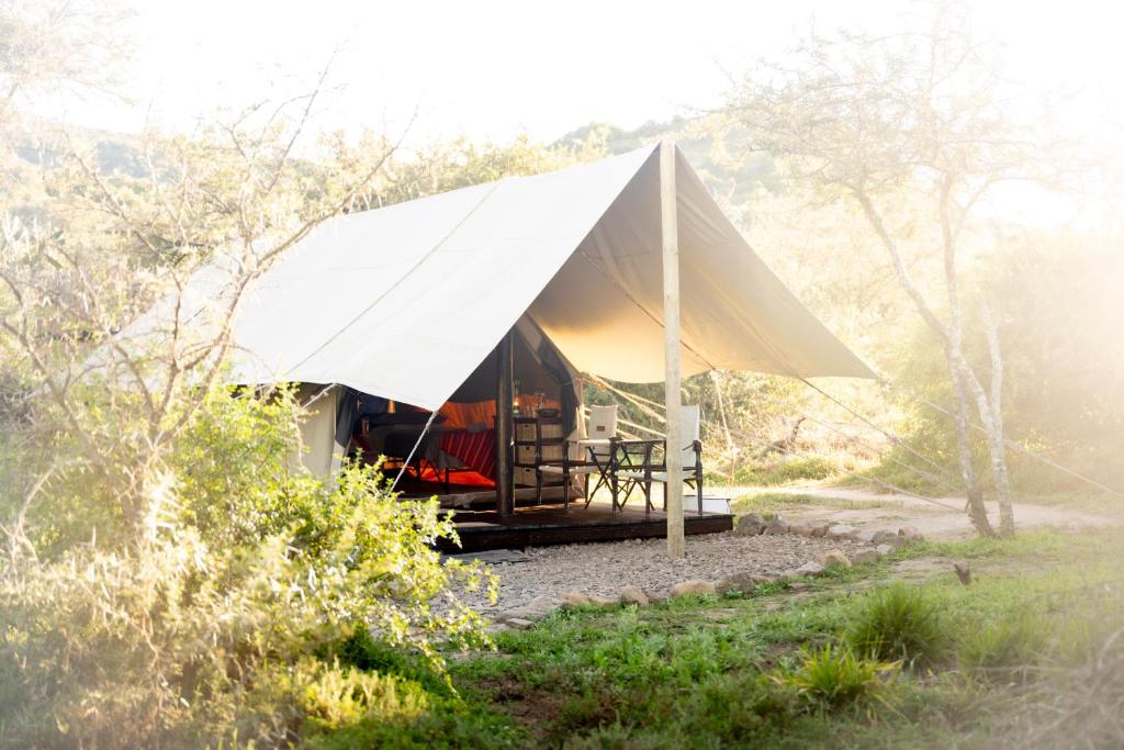 Příroda nedaleko luxury tent