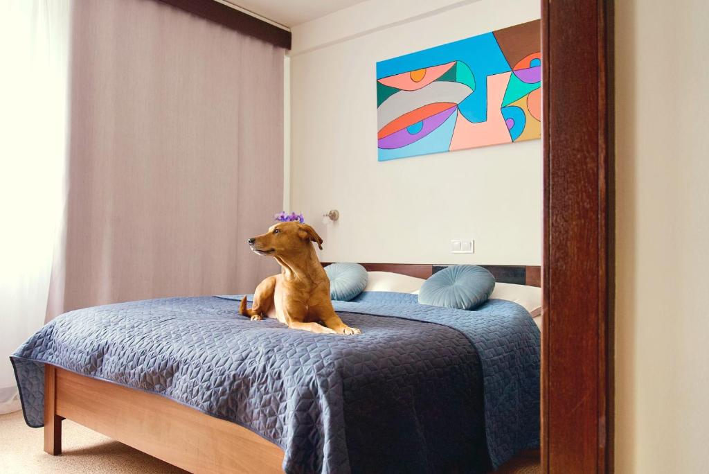 a dog sitting on a bed in front of a mirror at Hotel Merkur - Jablonec nad Nisou in Jablonec nad Nisou