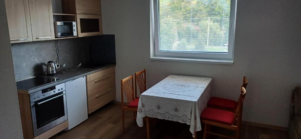Kuchyň nebo kuchyňský kout v ubytování Apartmánový dům TERKA