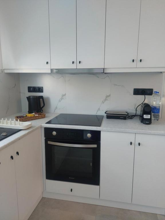 Köök või kööginurk majutusasutuses Apomero Apartment in Rochari Panormos