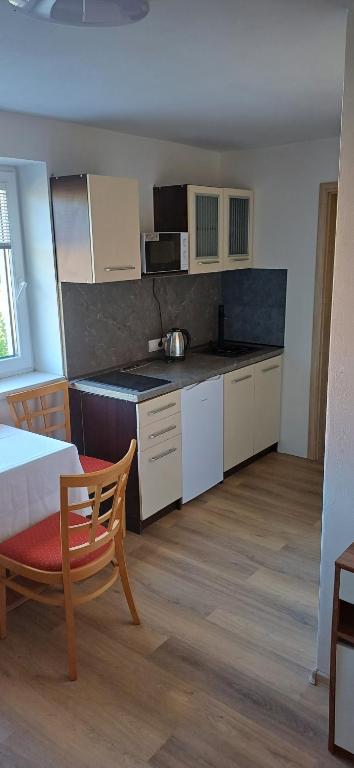 Kuchyň nebo kuchyňský kout v ubytování Apartmánový dům TERKA