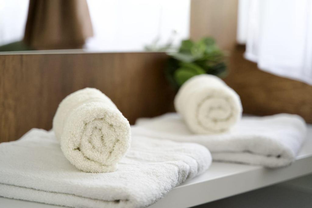 Postel nebo postele na pokoji v ubytování VIK apartman Brzece