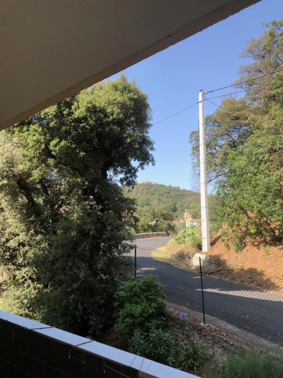 - une vue sur un arbre depuis une fenêtre dans l'établissement Studio vue montagne et soleil, à Amélie-les-Bains-Palalda