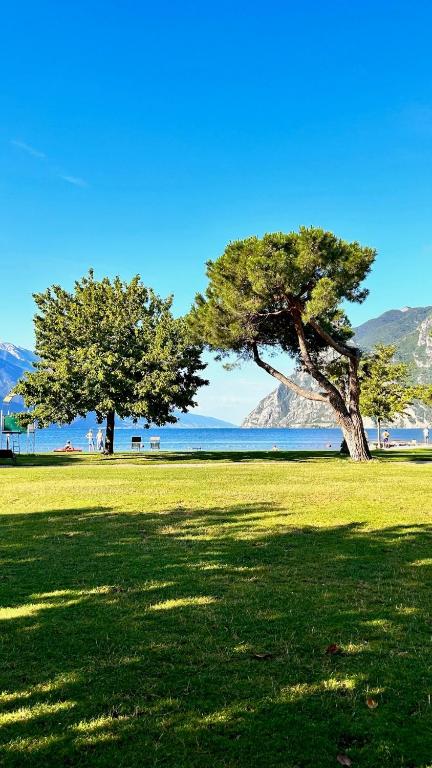 two trees in a field with the ocean in the background at Holiday Apartments Bellariva in Riva del Garda