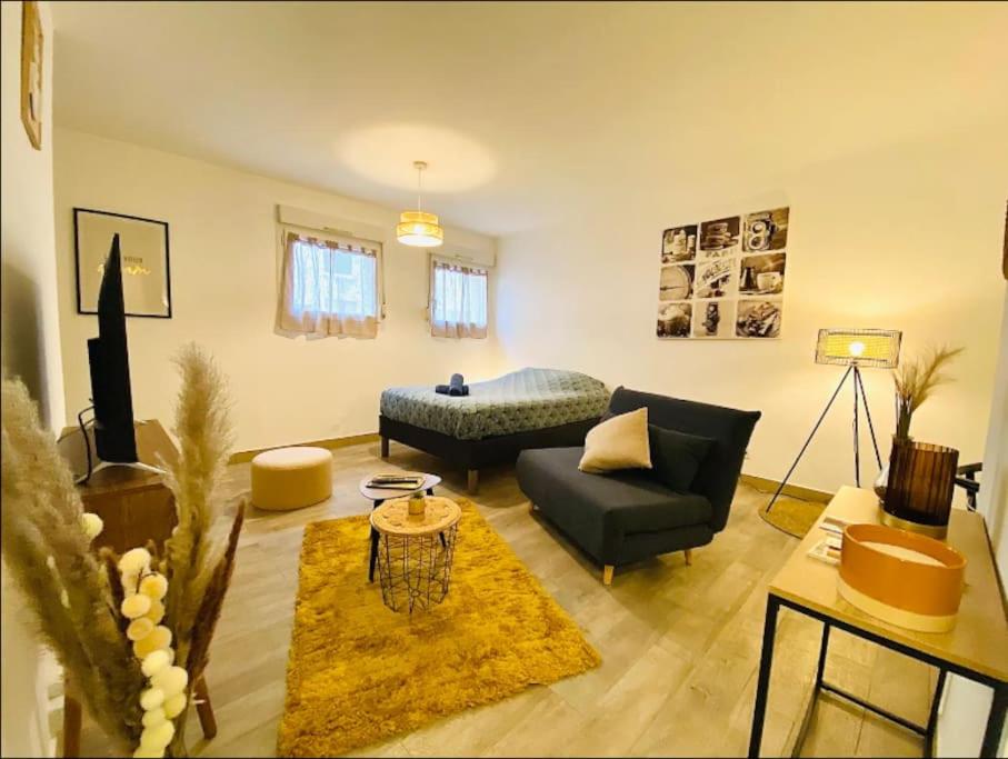 un salon avec un canapé et une table dans l'établissement Appartement Centre-Ville - 3 Voyageurs, au Mans