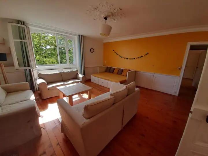 Photo de la galerie de l'établissement Grand appartement entre le château et la Cathédrale, à Nantes