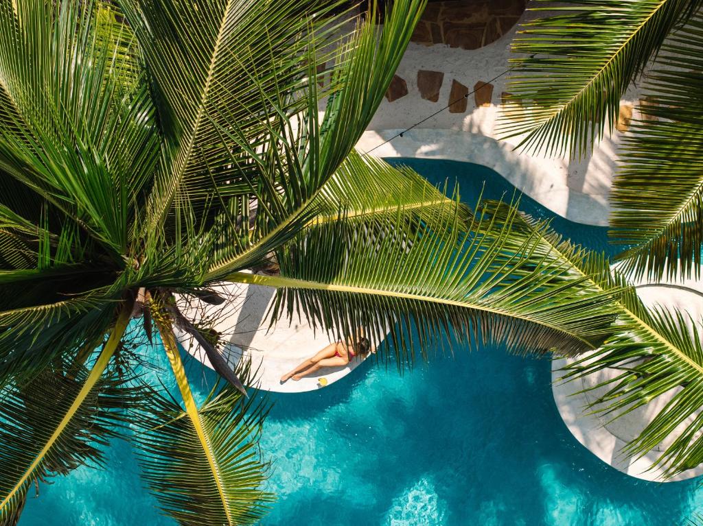 Bazén v ubytování Mala Boutique Hotel nebo v jeho okolí