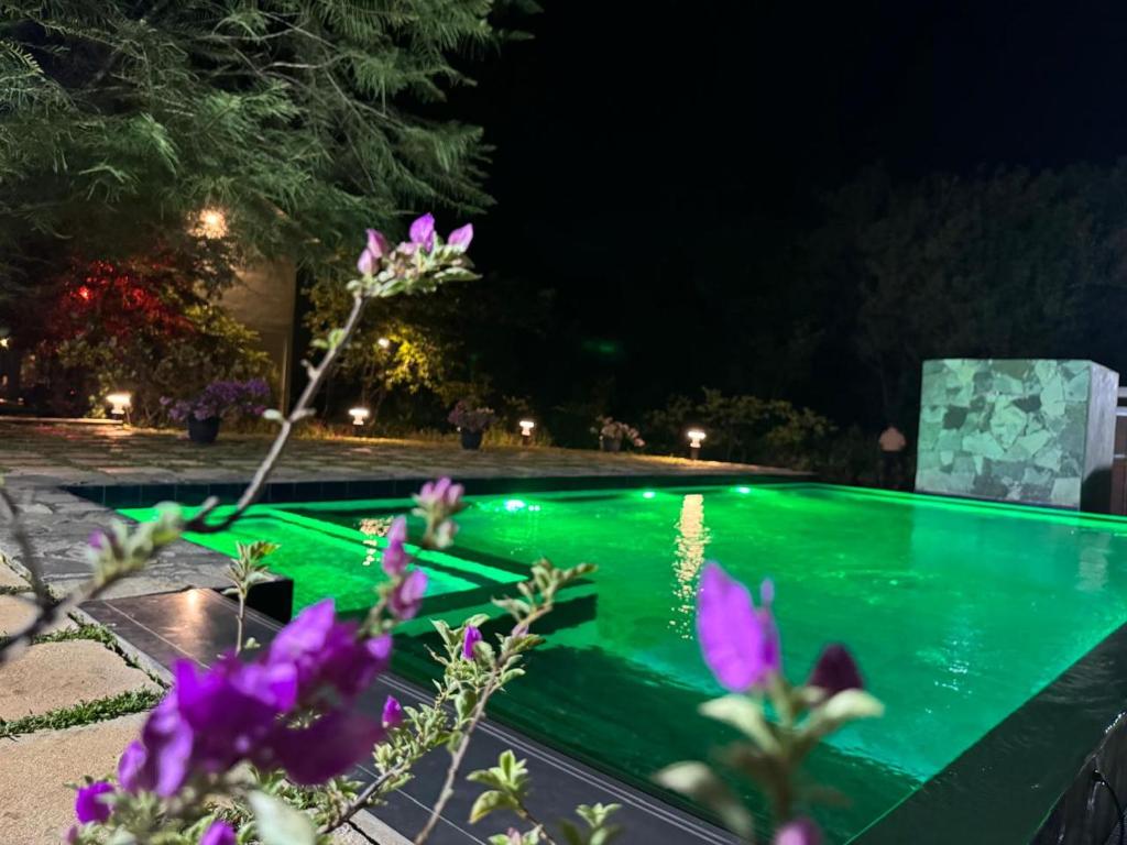 哈伯勒内Kadulla Resort的花色繁茂的游泳池