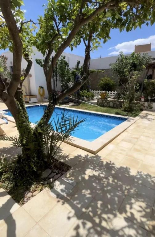 a swimming pool with a tree in the foreground at location Maison d hotes a Chott Meriem in Kasnadar