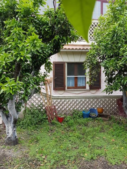 Zahrada ubytování Appartement Gatti