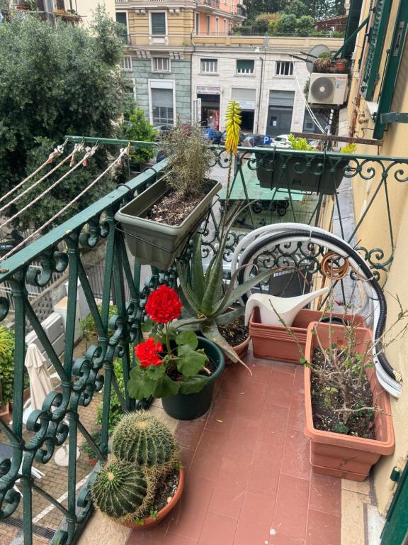 Balkón nebo terasa v ubytování Genoa Waterfront Room